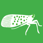 White vector graphic of spotted lanternfly on green background.