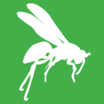 White vector graphic os yellow jacket on green backround. 